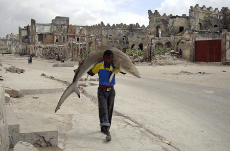 Kategorie "Alltagsleben - Einzelfoto": Omar Feisal gewinnt den ersten Preis mit dem Foto eines Mannes, der einen gefangenen Haifisch durch die Ruinenstraßen der somalischen Hauptstadt Mogadischu trägt. (Foto: AFP)کوسه ماهی ، ماهیگیری در سومالی 