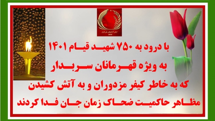تصویرنگاری در کرمان، همدان، کاشان و ۳۰ پراتیک انقلابی دیگر در شهرهای میهن