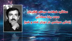 ۴مرداد ۱۳۶۰ ـ شهادت مجاهد قهرمان محمدرضا سعادتی