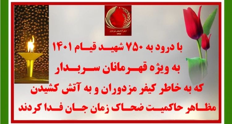 تصویرنگاری در کرمان، همدان، کاشان و ۳۰ پراتیک انقلابی دیگر در شهرهای میهن